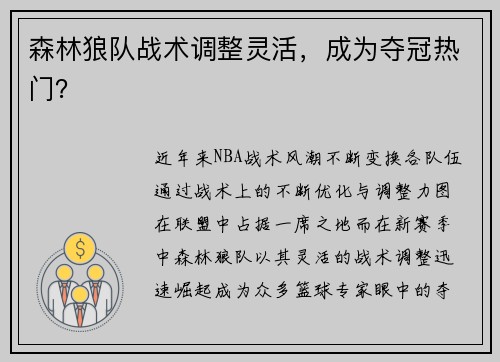 森林狼队战术调整灵活，成为夺冠热门？